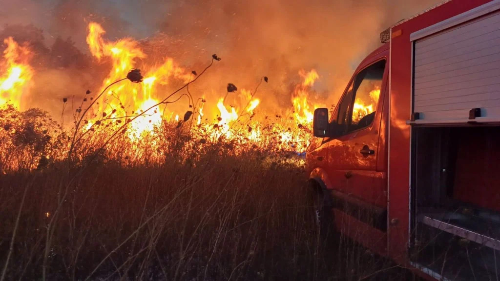 Ljeto bez milosti: Vatrogasci pod 60 °C, a vi i dalje palite travu?